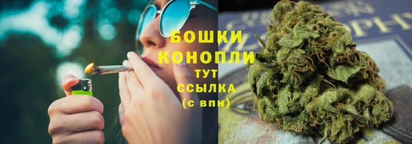 трава Беломорск