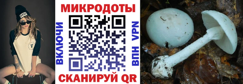 Галлюциногенные грибы Cubensis гидра ТОР Ростов-на-Дону